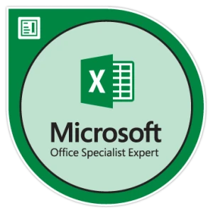 Microsoft Excel 2019 Expert